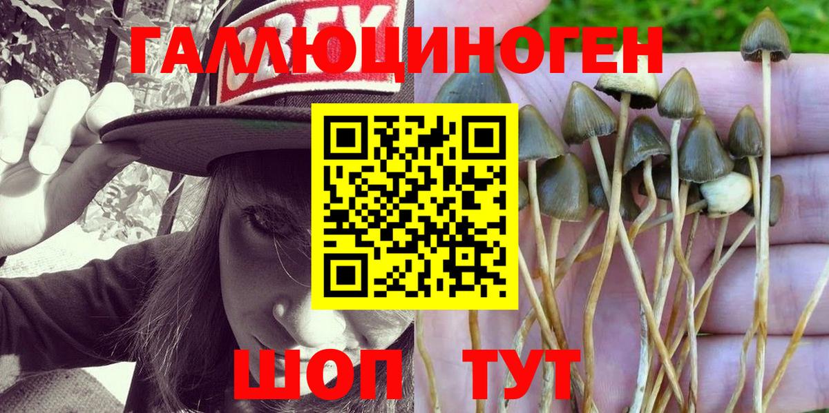 Галлюциногенные грибы MAGIC MUSHROOMS  Вход с VPN  Галлюциногенные грибы прущие грибы  Абинск 